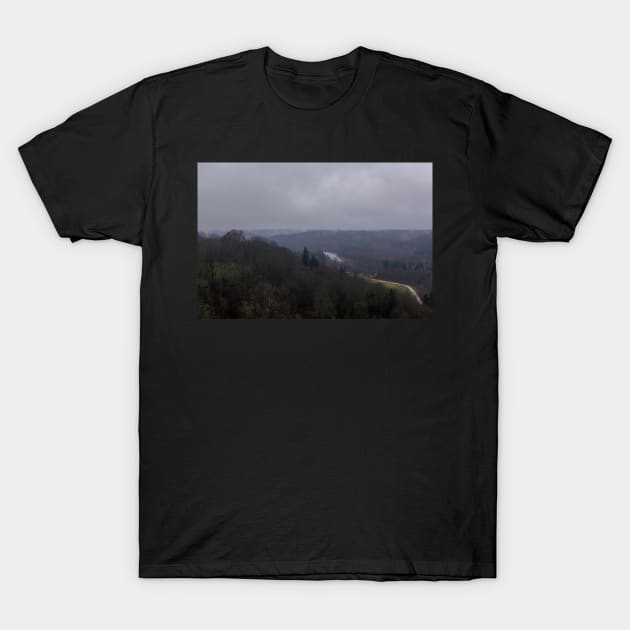 Gauja River and the valley rich in forests covered with fog T-Shirt by lena-maximova